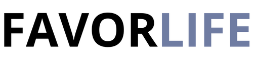 Favorlifestore
